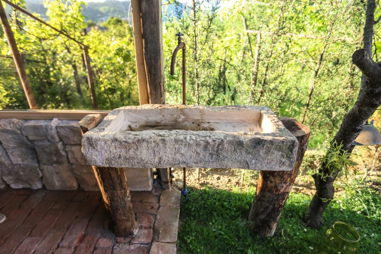 Vila Bukhriani Kutaisi Exteriér fotografie