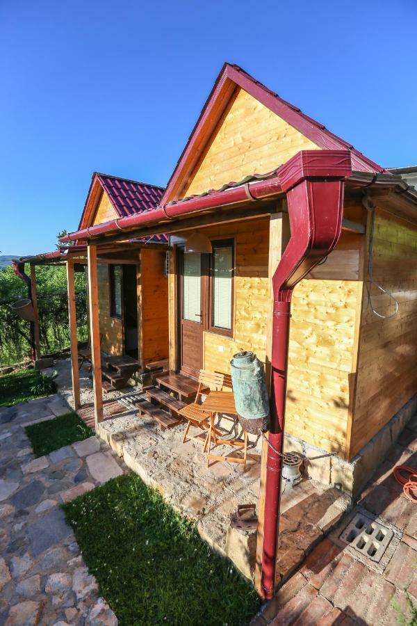 Vila Bukhriani Kutaisi Exteriér fotografie